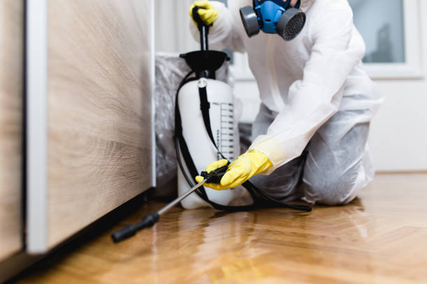 Best Rat Extermination Near Me  in Wildwood, FL