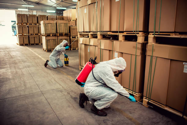 Best Mosquito Control Services  in Wildwood, FL