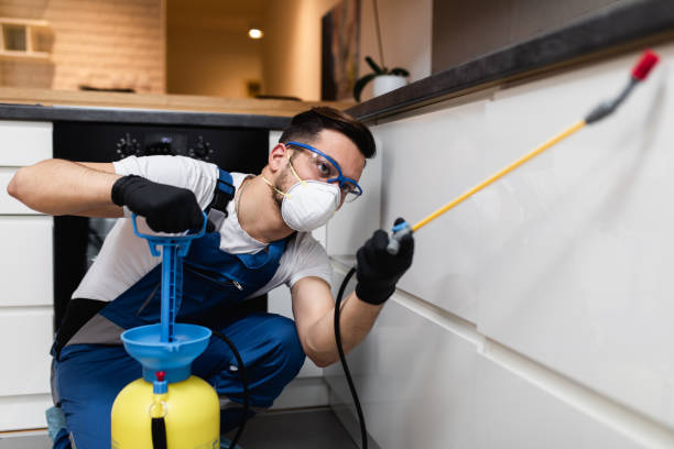Best Local Pest Control Services  in Wildwood, FL