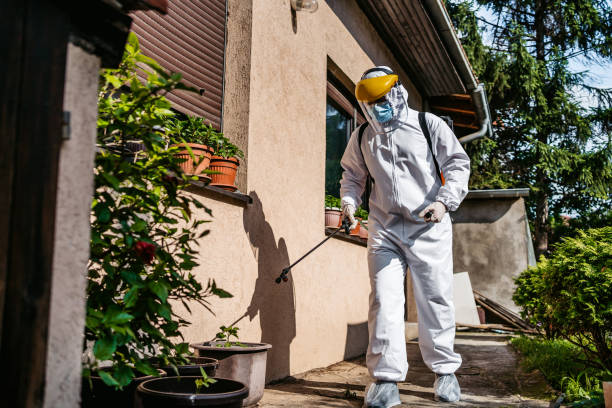Best Mosquito Control Services  in Wildwood, FL