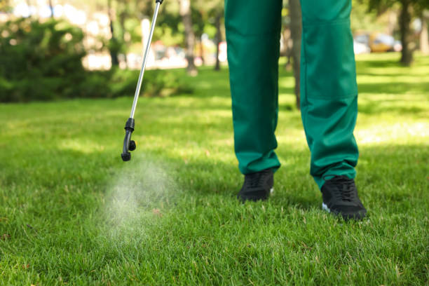 Best Wasp Removal Services  in Wildwood, FL