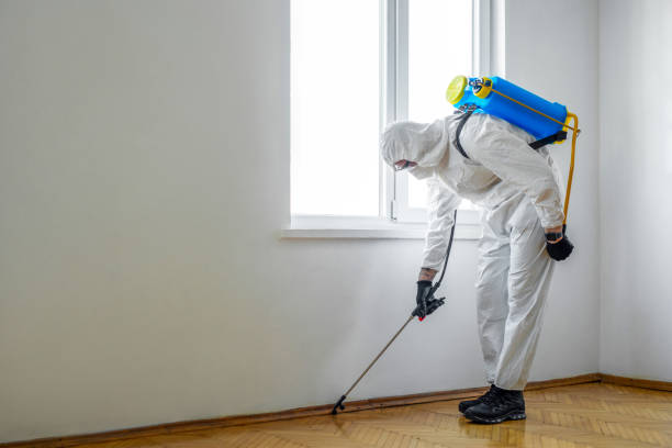 Best Exterminator Services  in Wildwood, FL