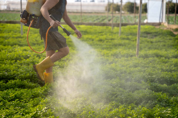 Reliable Wildwood, FL Pest Control Solutions