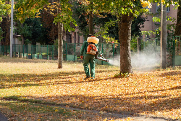 Best Affordable Pest Control Services  in Wildwood, FL