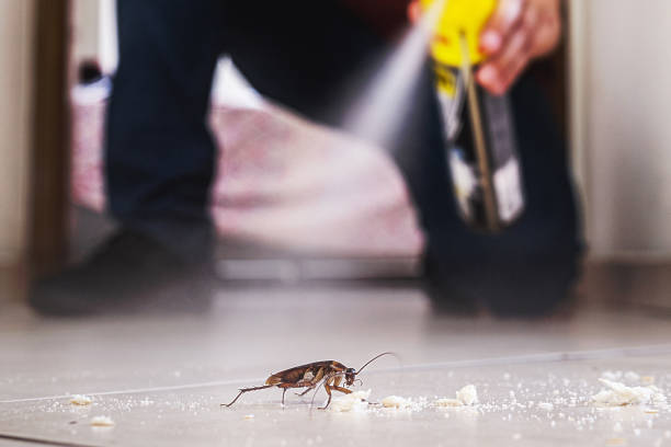 Best Pest Inspection Near Me  in Wildwood, FL