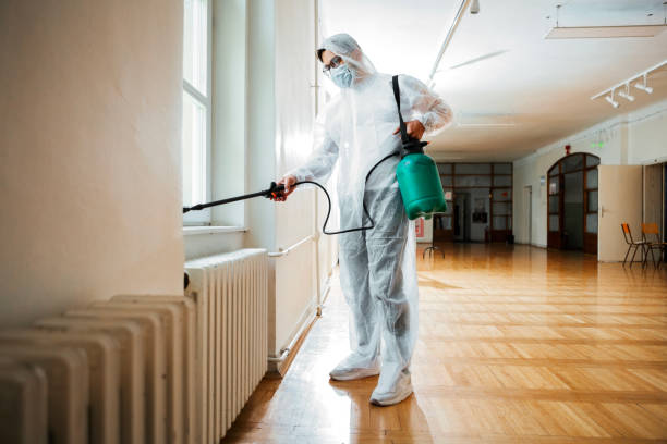 Best Local Pest Control Services  in Wildwood, FL