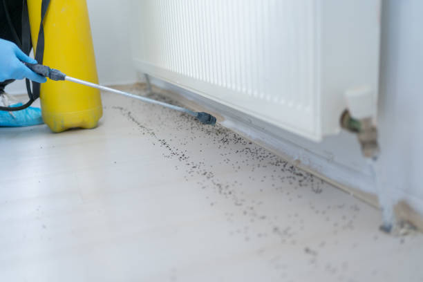 Best Wildlife Control Services  in Wildwood, FL