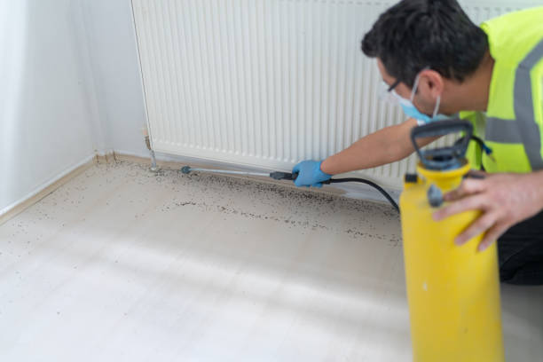 Best Bed Bug Extermination  in Wildwood, FL