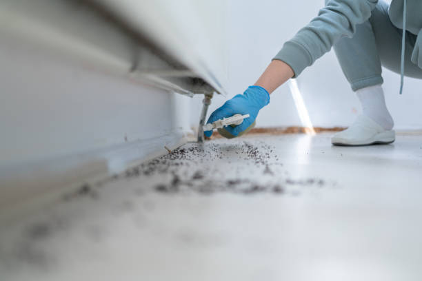 Best Commercial Pest Control Services  in Wildwood, FL